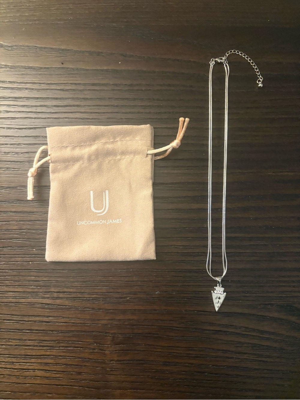 NEW Uncommon James silver limitless pendant necklace